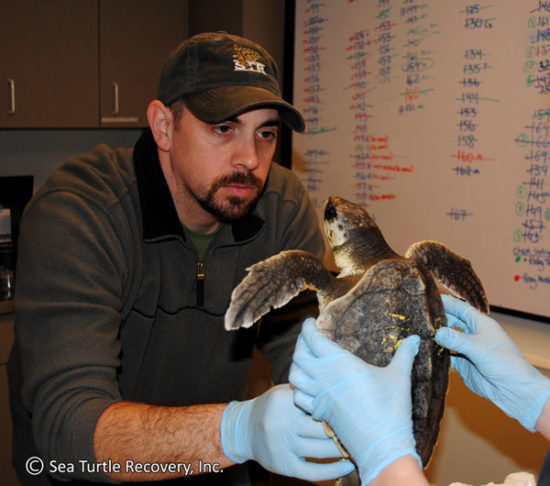 Patients | Sea Turtle Recovery