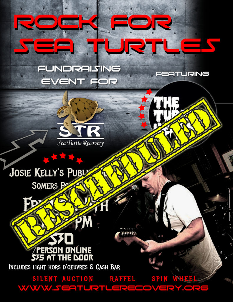 SEA TURTLE RECOERY ROCK FOR SEA TURTLES EVENT