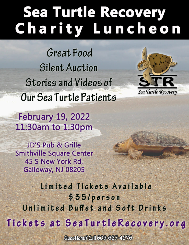 sea turtle recovery luncheon buffet fundraiser