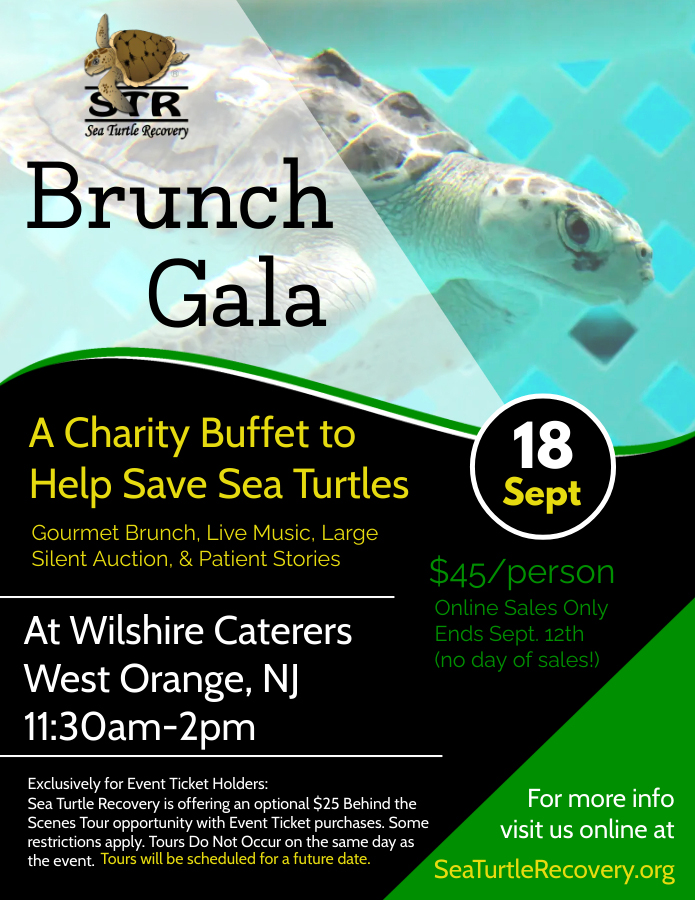 Sea Turtle Recovery Brunch Event