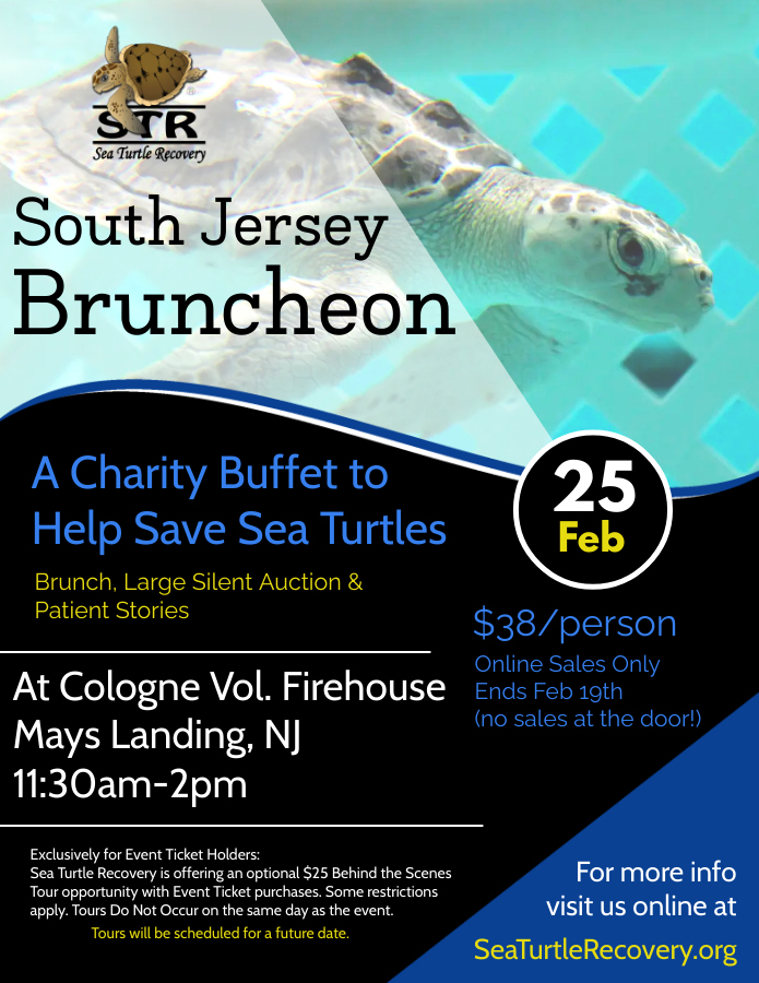 annual South Jersey brunch buffet to help save threatened and endangered sea turtles.