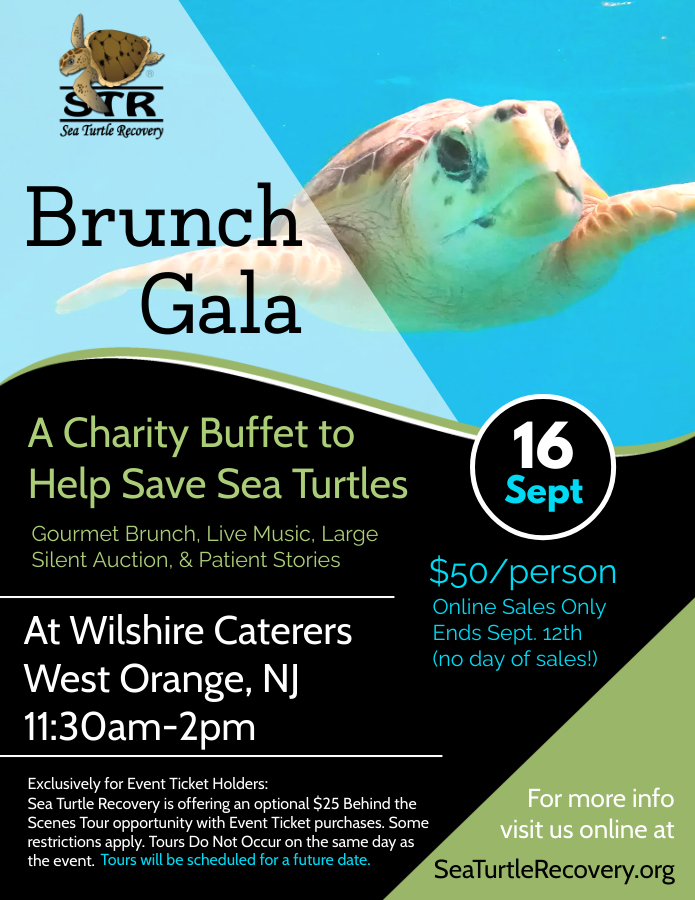 Sea Turtle Recovery Brunch Gala 2023