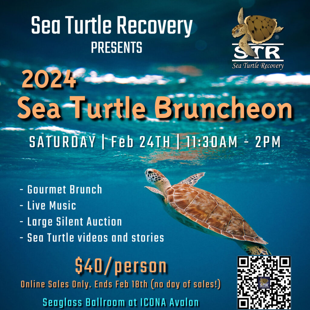 Home | Sea Turtle Recovery