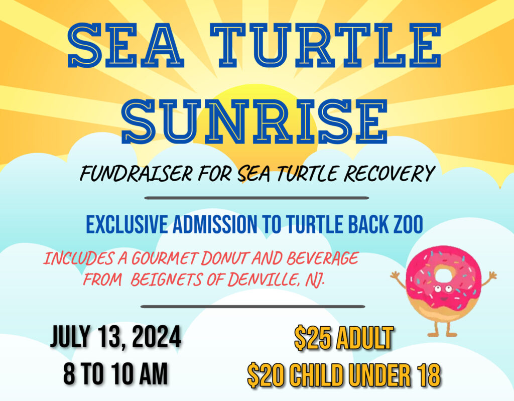 Sea Turtle Sunrise doughnut breakfast fundraiser