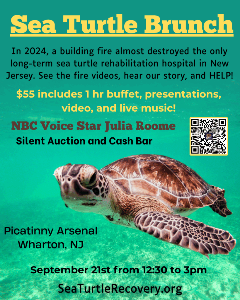 2025 Sea Turtle Recovery Brunch gala poster