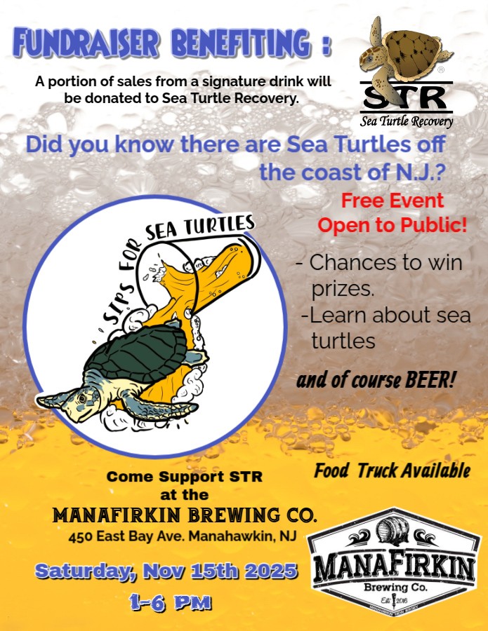 Sips For Sea Turtles 2025 - at Manafirkin brewing